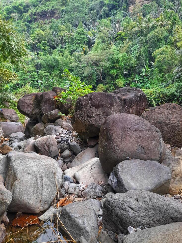 Large natural boulders scattered in a rocky riverbed surrounded by dense tropical forest, showcasing raw geological formations in a lush jungle environment. photo