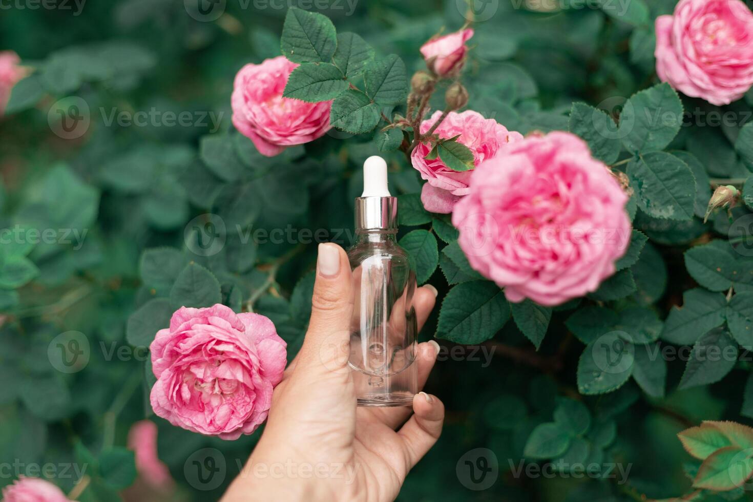 woman's hand holds skincare serum in a romantic setting with fresh pink blossoms. photo