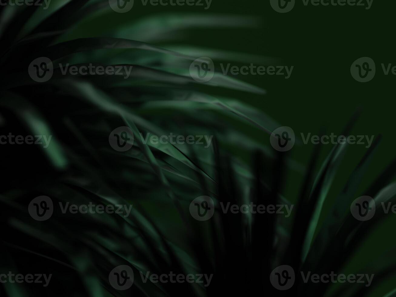 Soft dark green leaves with subtle texture, creating a peaceful and organic atmosphere. photo