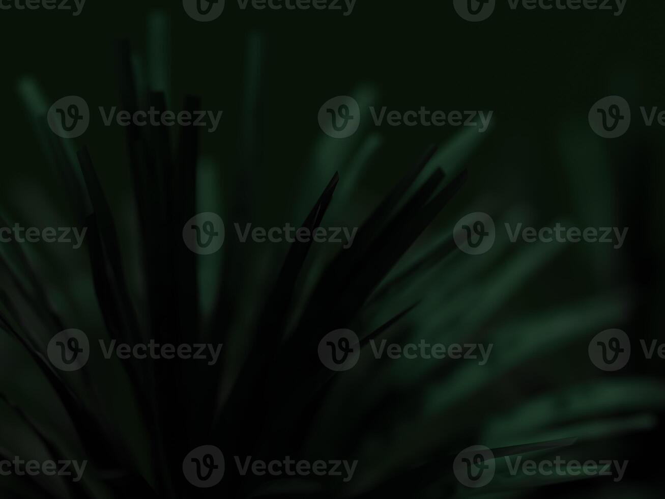 Dark, lush green foliage in a minimalistic setup, focusing on smooth, soft textures. photo