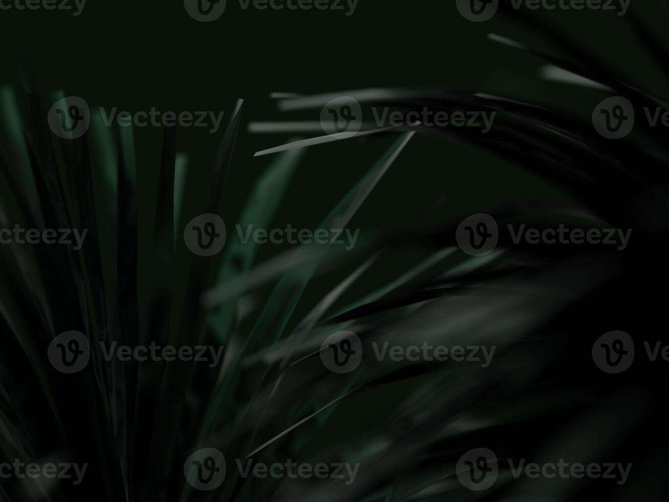 Close-up of dark green foliage, with light reflections and a smooth natural texture. photo