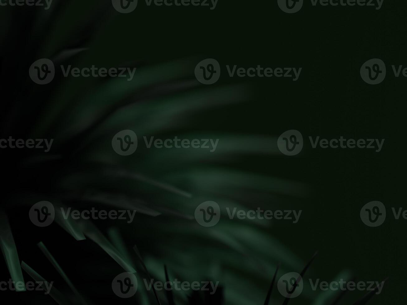 Subtle dark green leaves with soft light casting gentle shadows on the surface. photo