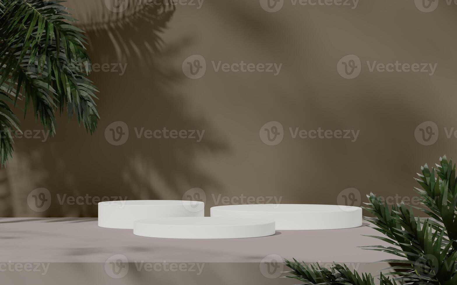 Three white podiums positioned with shadow patterns and tropical leaves in the scene. photo