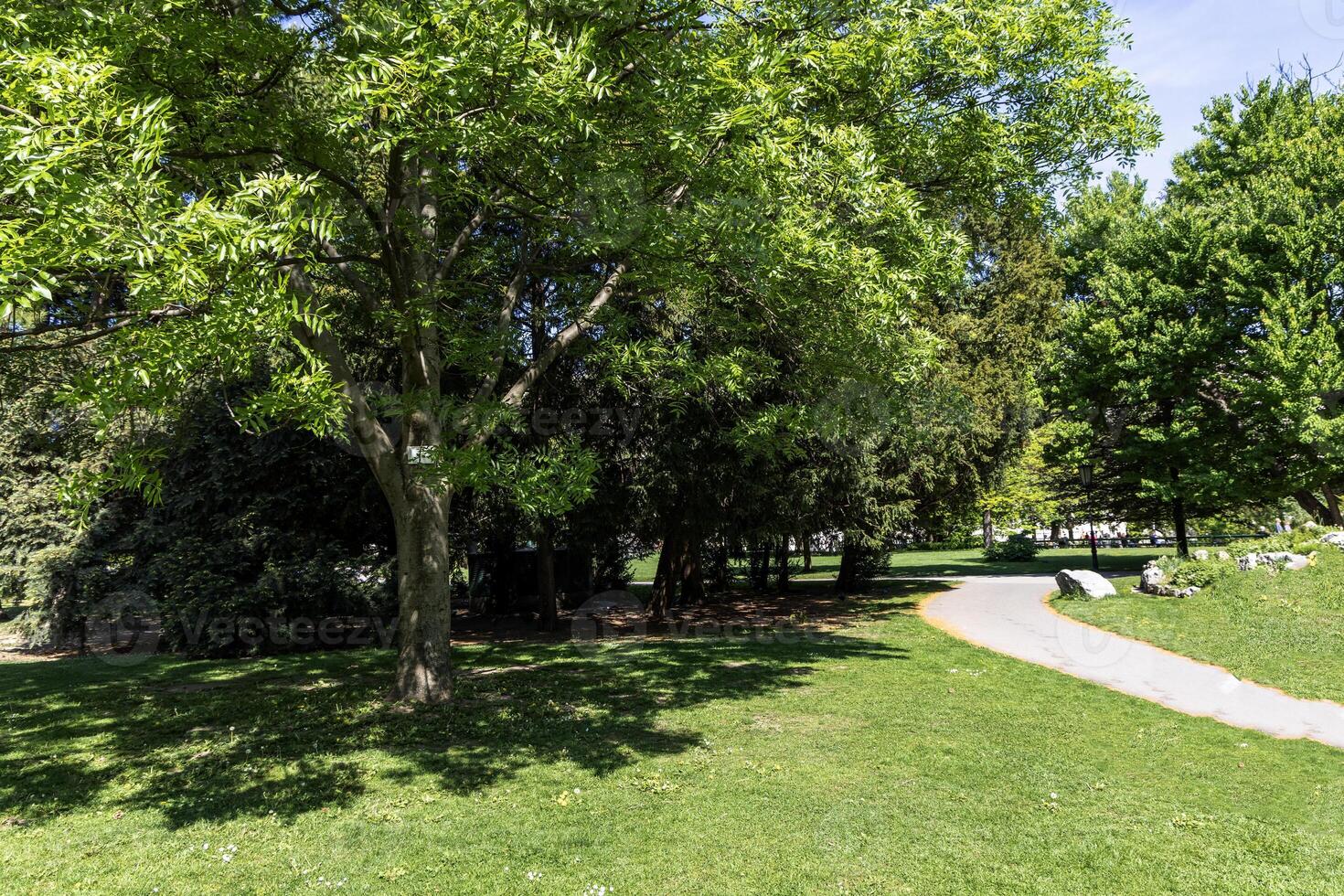 Green spring park in the historical part of Austria, Vienna photo