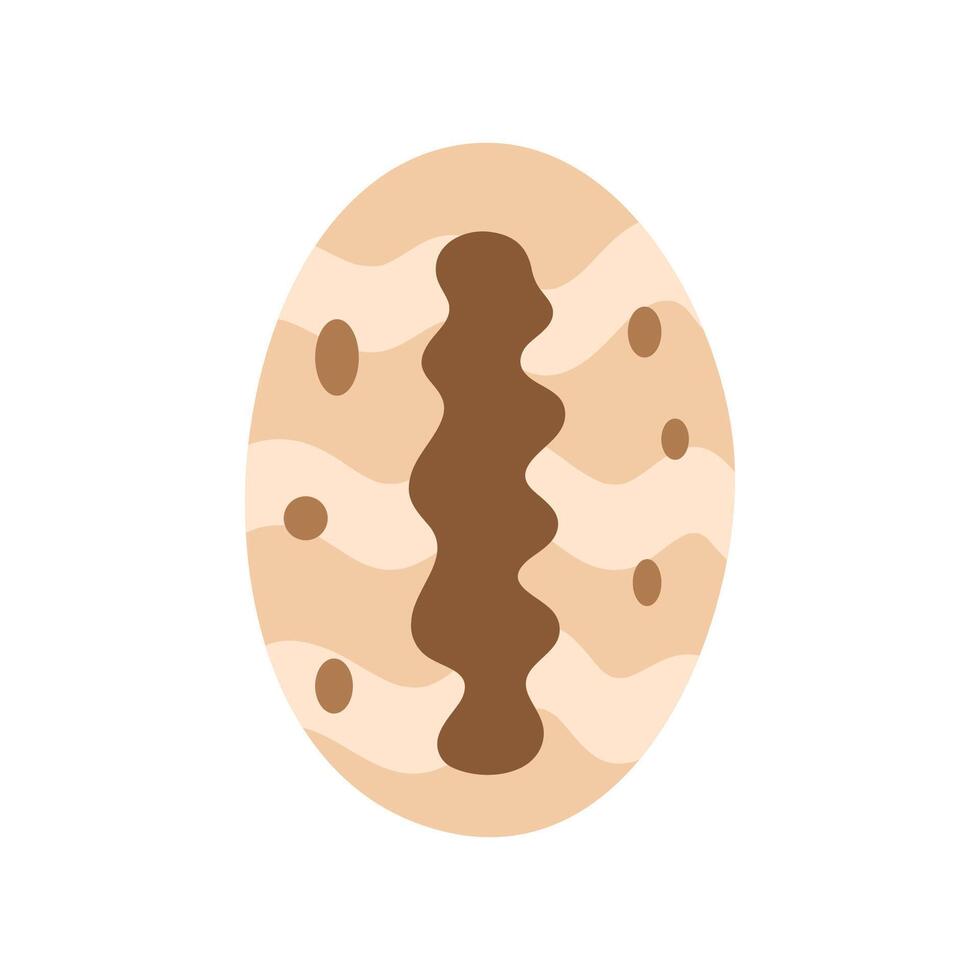 Cowrie shell with central slit pattern, light brown color vector