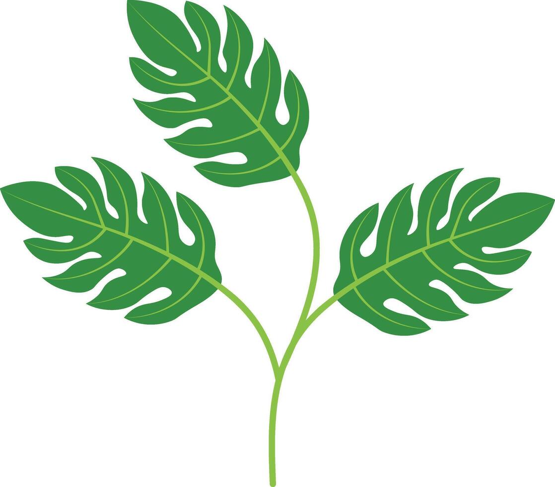 Exotic Tropical Leaves. vector