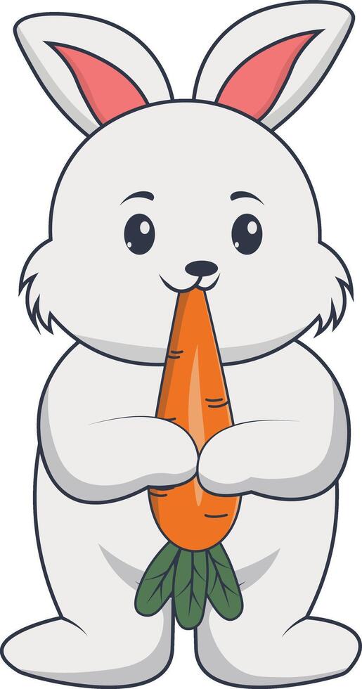 Rabbit Character Illustration vector