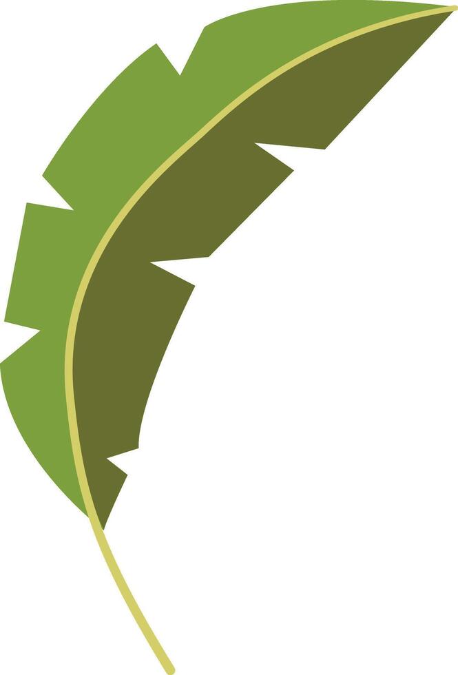 Green Tropical Exotic Leaves in Cartoon Design. Isolated on White Background vector