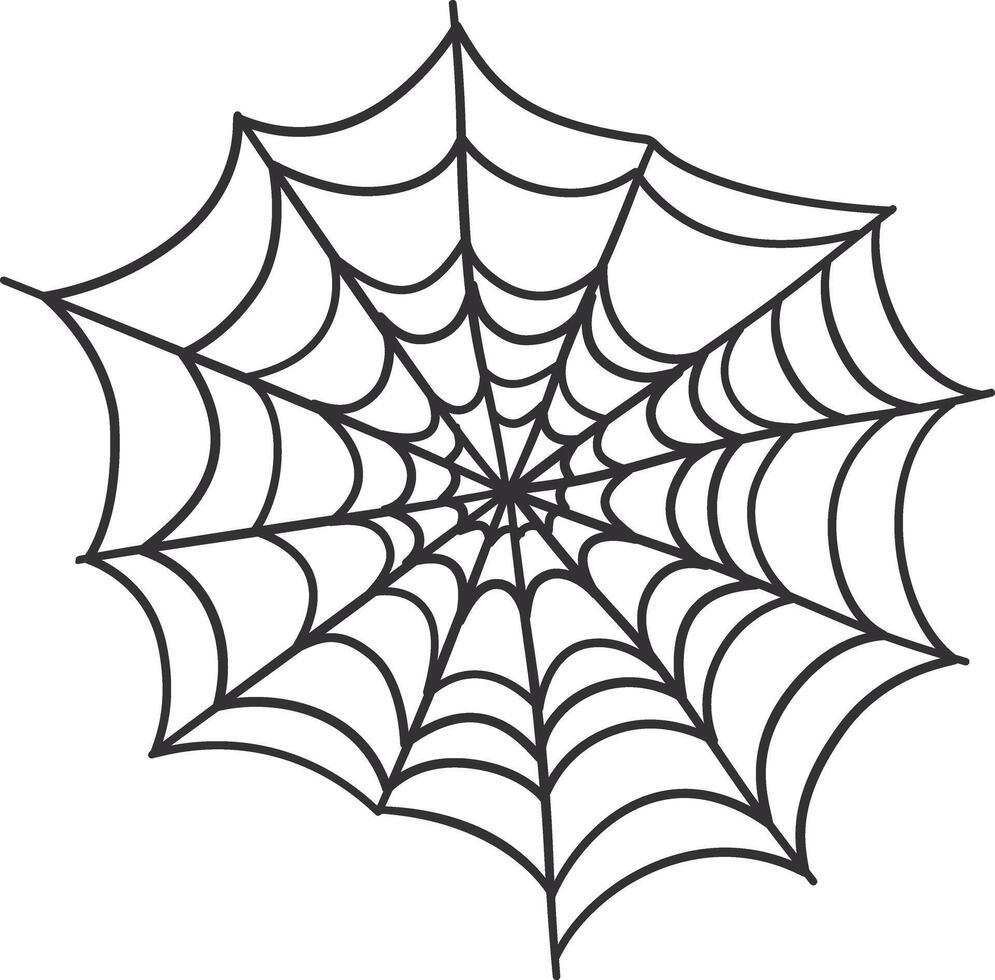 Spider Web Decorative on White Background vector