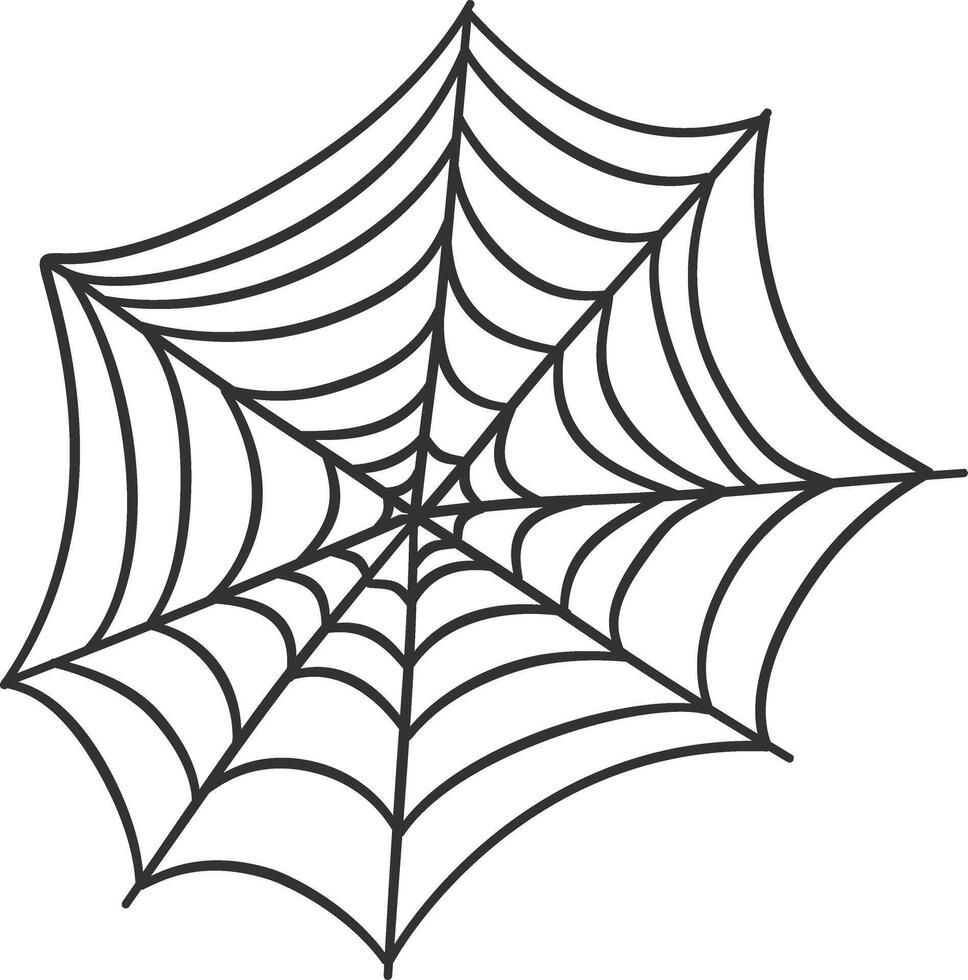 Spider Web Decorative with Flat Design vector