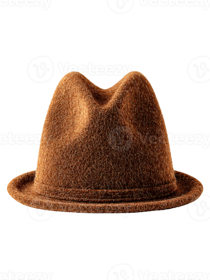 Stylish Brown Felt Hat with Unique Shape and Texture for Fashion png