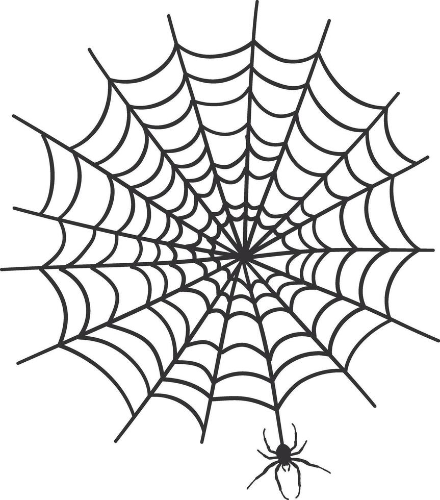 Spider Web Decorative Isolated on White Background vector