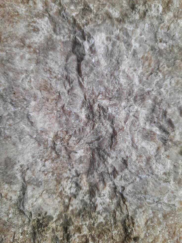 Close-up image of a rough, textured rock surface with natural cracks and mixed shades of grey and brown. photo