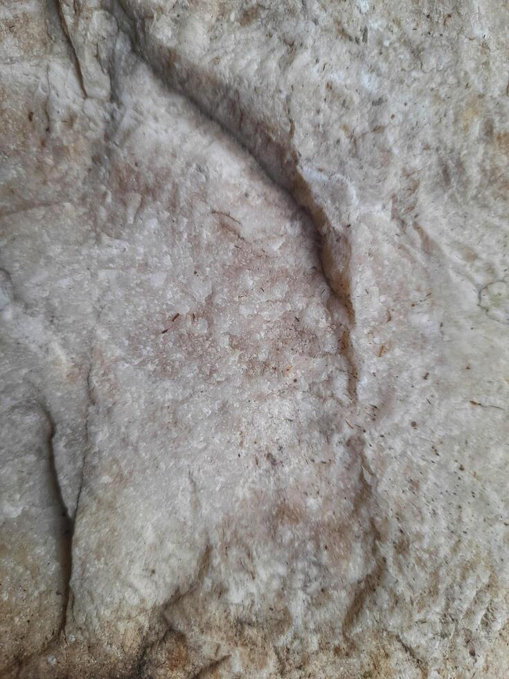 Close-up image of a rough, weathered rock surface showing natural textures, cracks, and earthy tones of gray and brown. photo