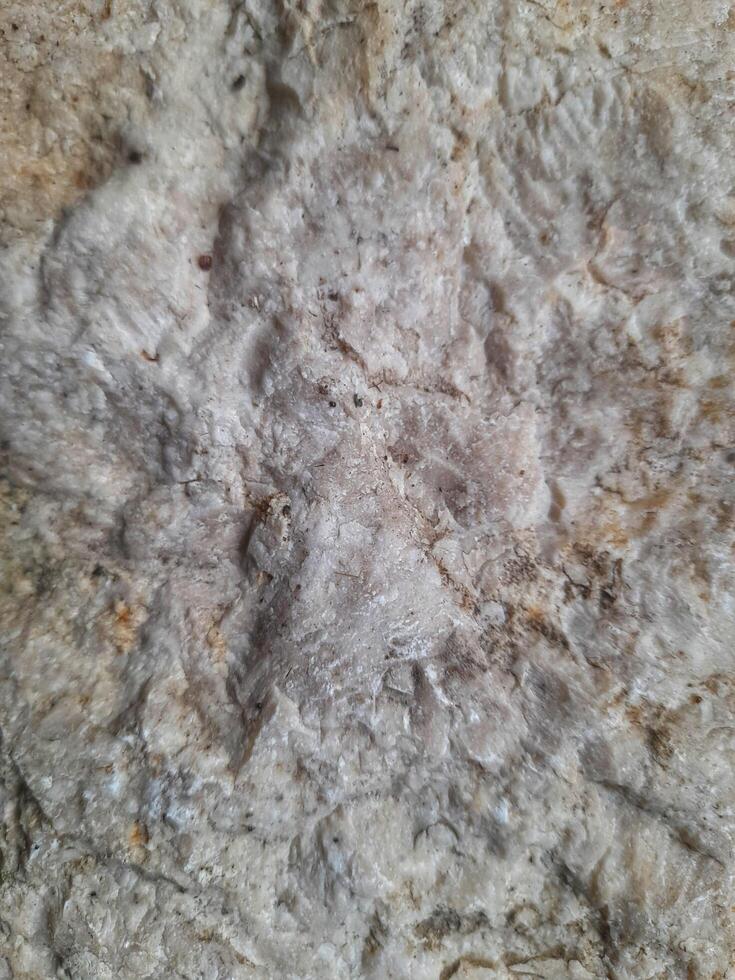 Close-up of a textured rock surface with shades of gray and brown, displaying natural cracks, layers, and mineral formations photo