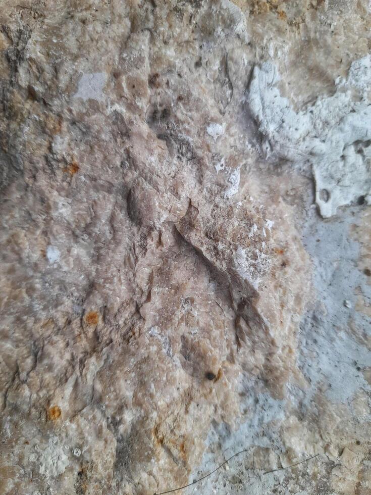 Close-up image of a rough, weathered rock surface showcasing natural textures, cracks, and varied shades of brown and gray photo