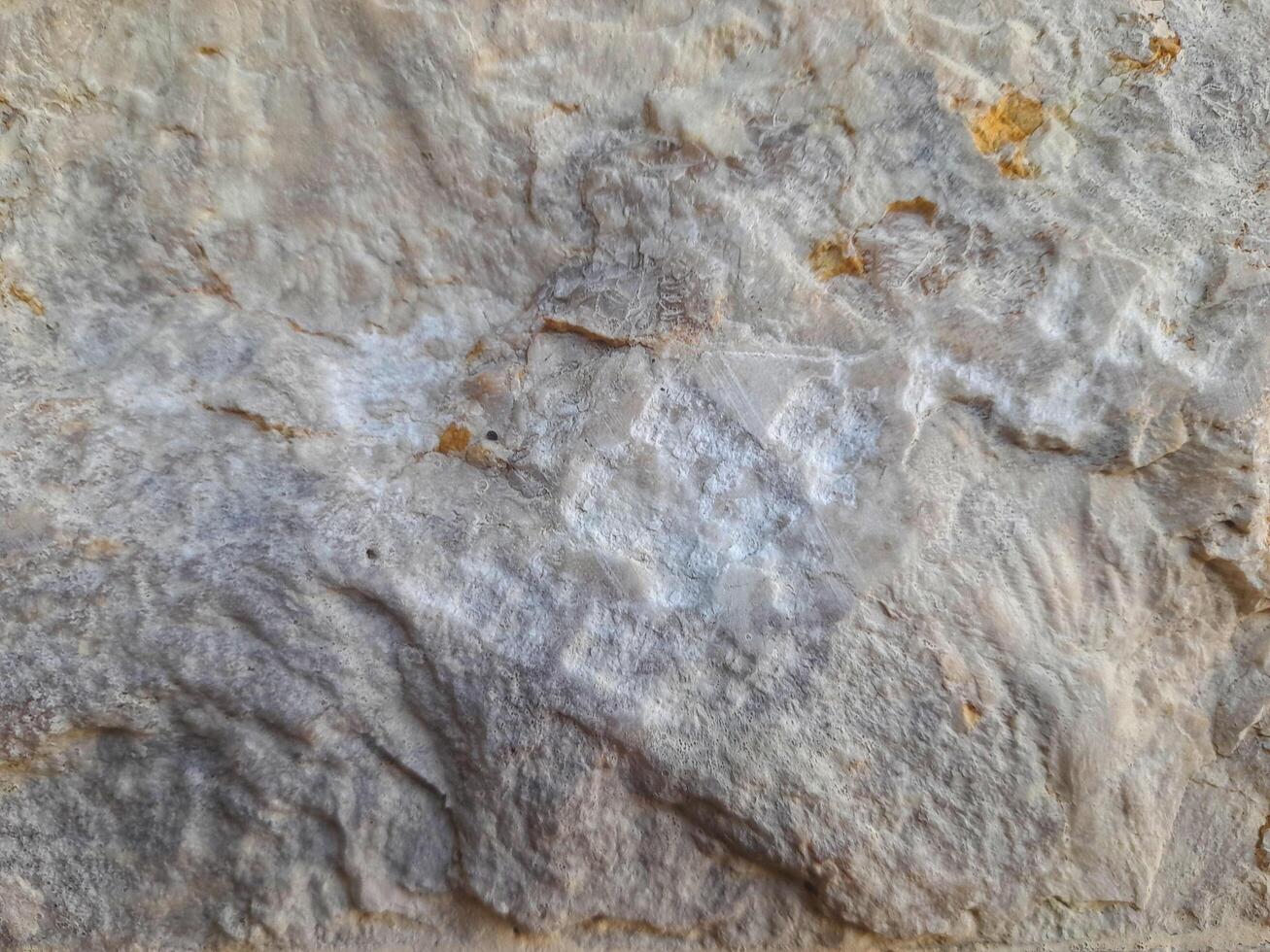 Detailed view of a rugged rock face with uneven texture, featuring light brown and gray hues, erosion marks, and natural mineral deposits. photo