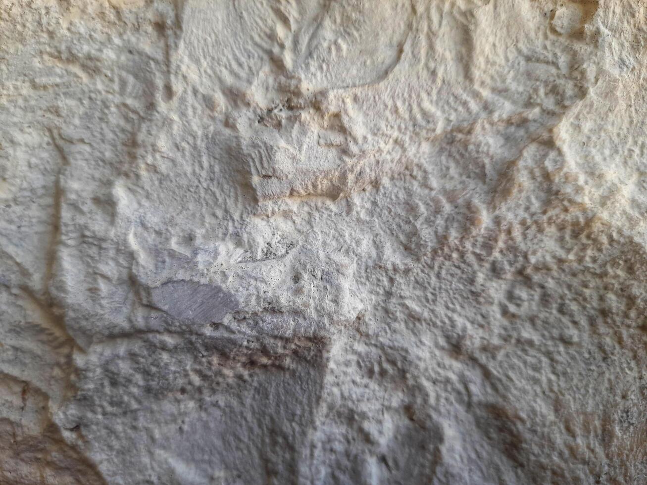 Rough and uneven stone surface with a mix of light and dark earthy tones, showing natural erosion, layers, and mineral textures photo
