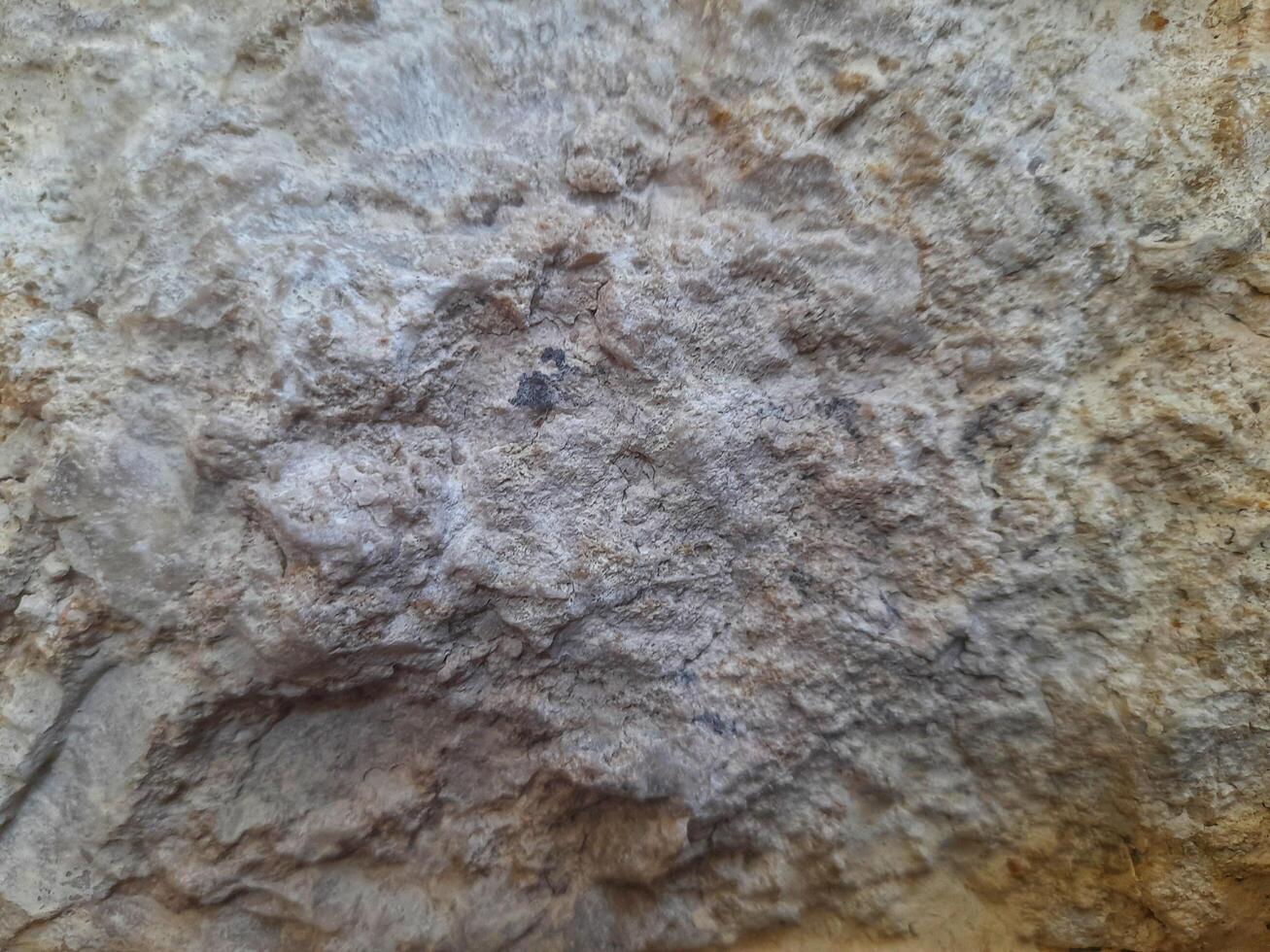 Rough stone surface with mixed beige and gray tones, showing natural erosion, uneven texture, and layered mineral patterns. photo