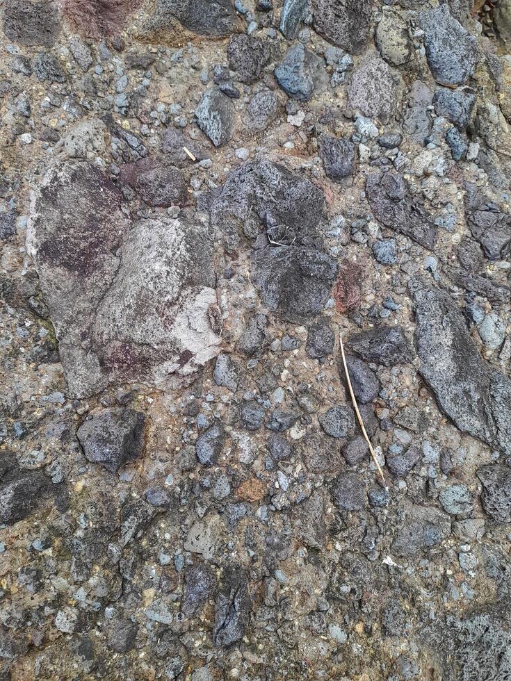 A detailed view of a concrete surface, displaying various textures, small white flecks, and irregular cracks. photo