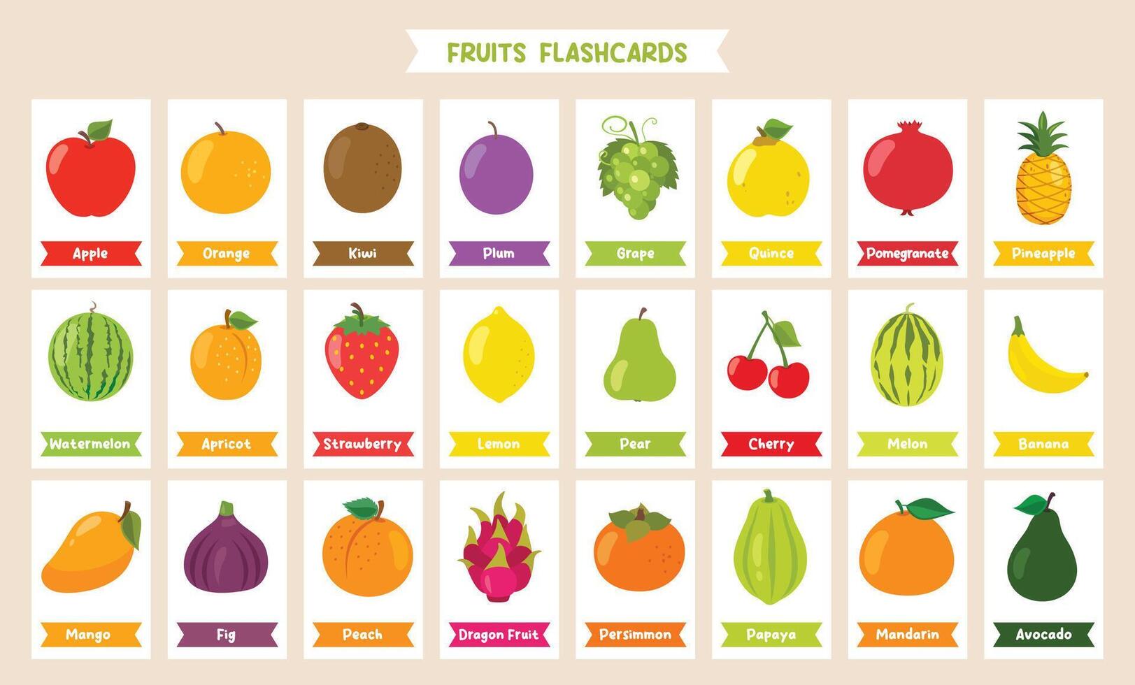 Fruits and Names Flashcard Design vector