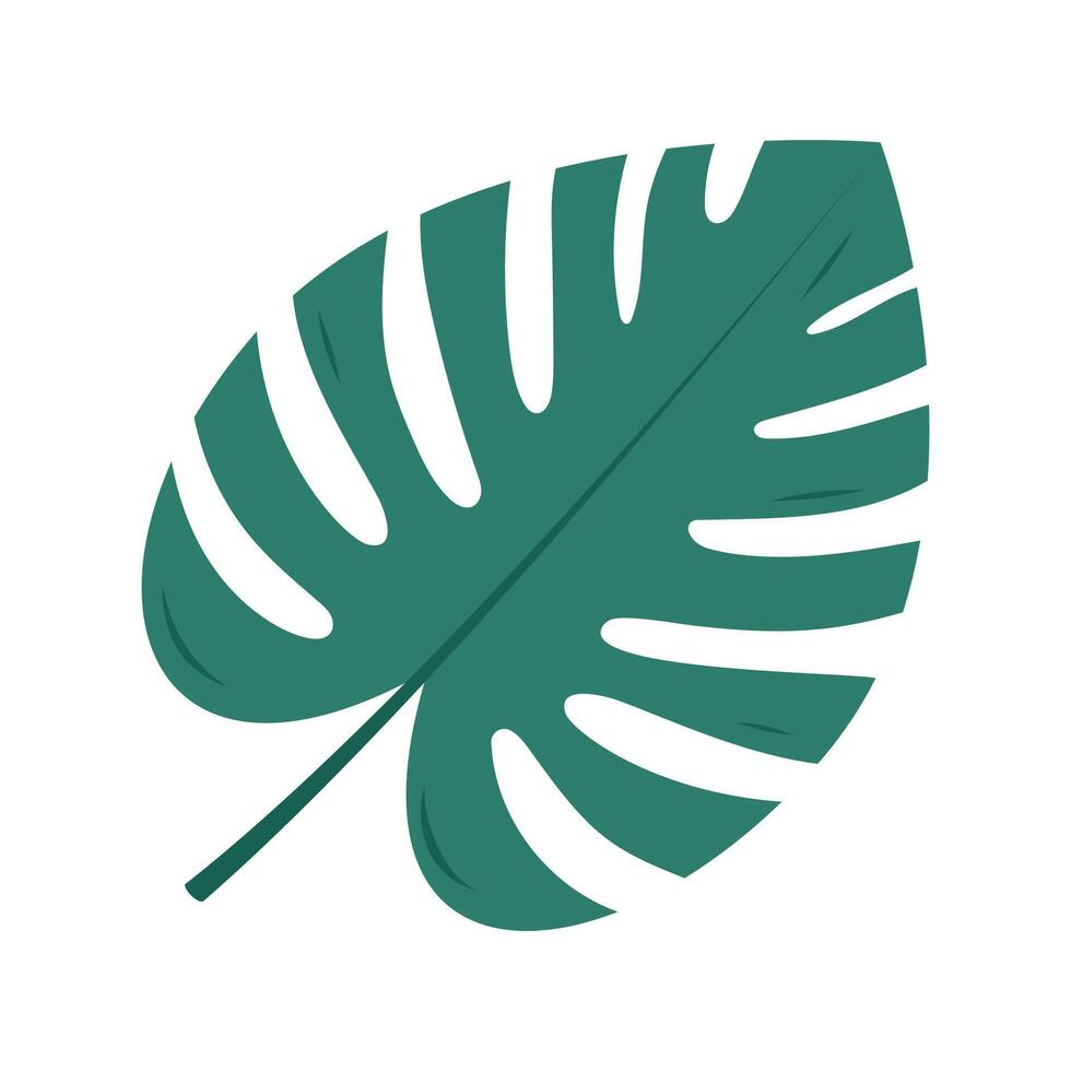 Large green monstera leaf isolated on a white background for decoration vector