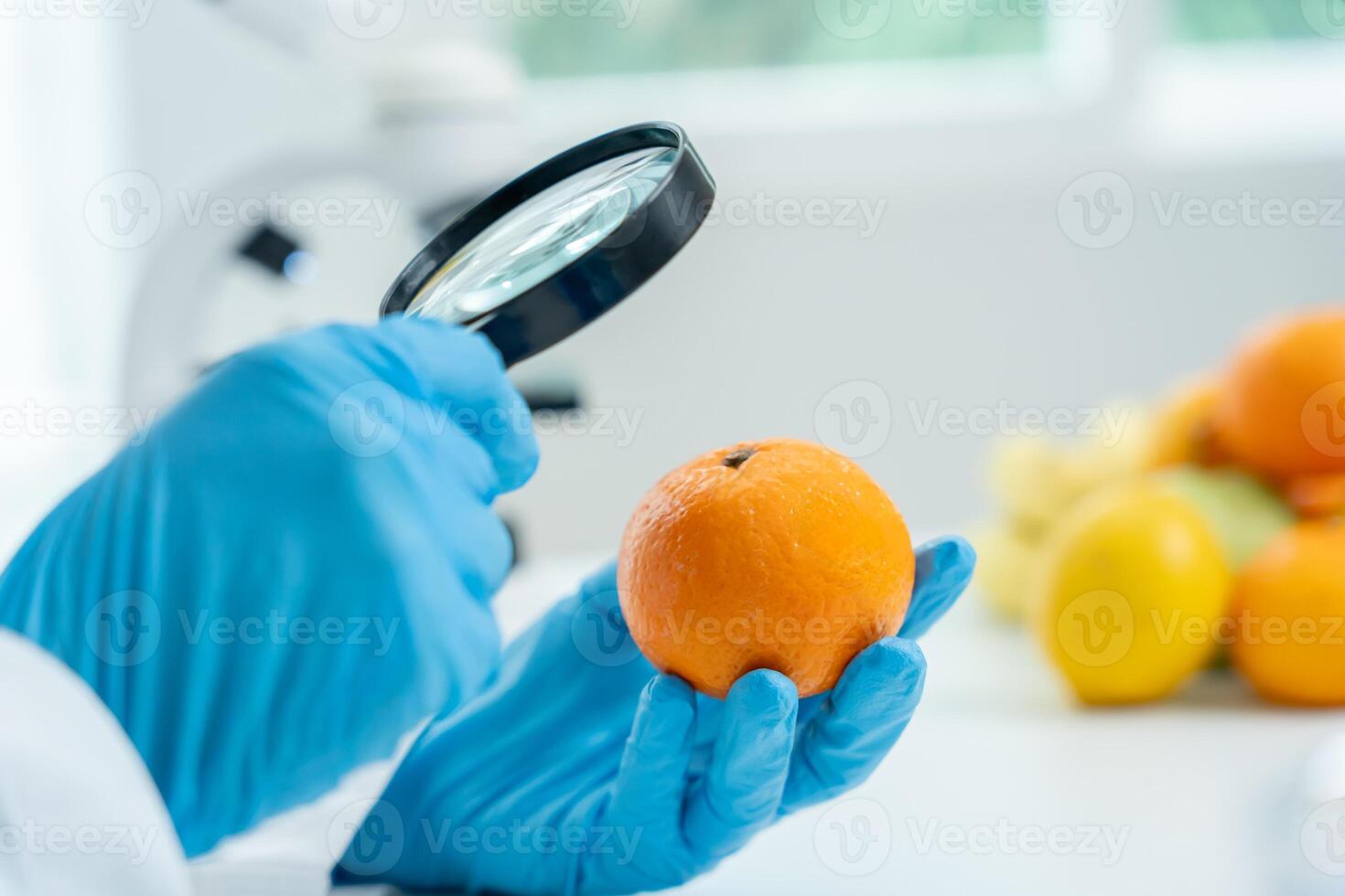 Scientist use magnifying glass to check physical occur from chemical on fruit and vegetable residues in laboratory. inspect the concentration of chemical residues, find prohibited substances photo