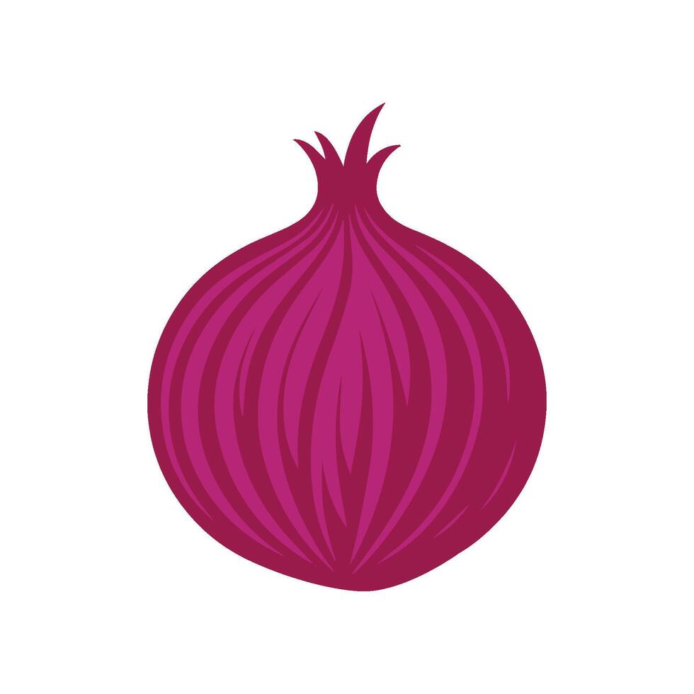 Minimalist onion icon on white background. Onion logo illustration vector