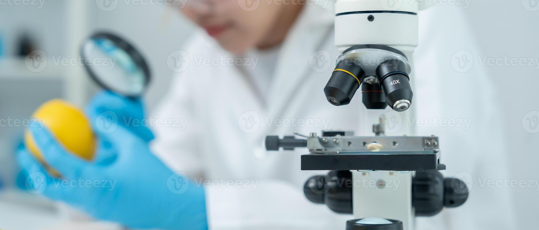 Scientist checking chemical food residues in laboratory. Control experts inspect quality of fruits, vegetables. lab, hazards, ROHs, find prohibited substances, contaminate, Microscope, Microbiologist photo