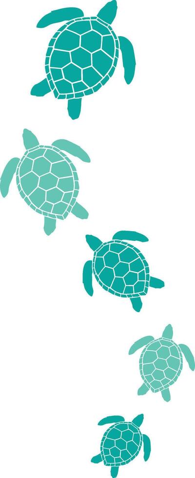 Sea Turtle Family, Summer Beach, Marine Turtle vector