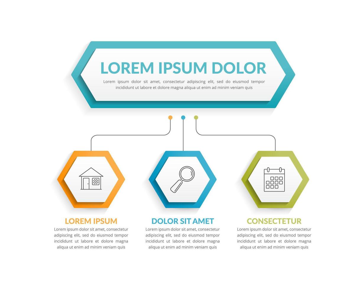 Flow chart diagram with 3 hexagons vector