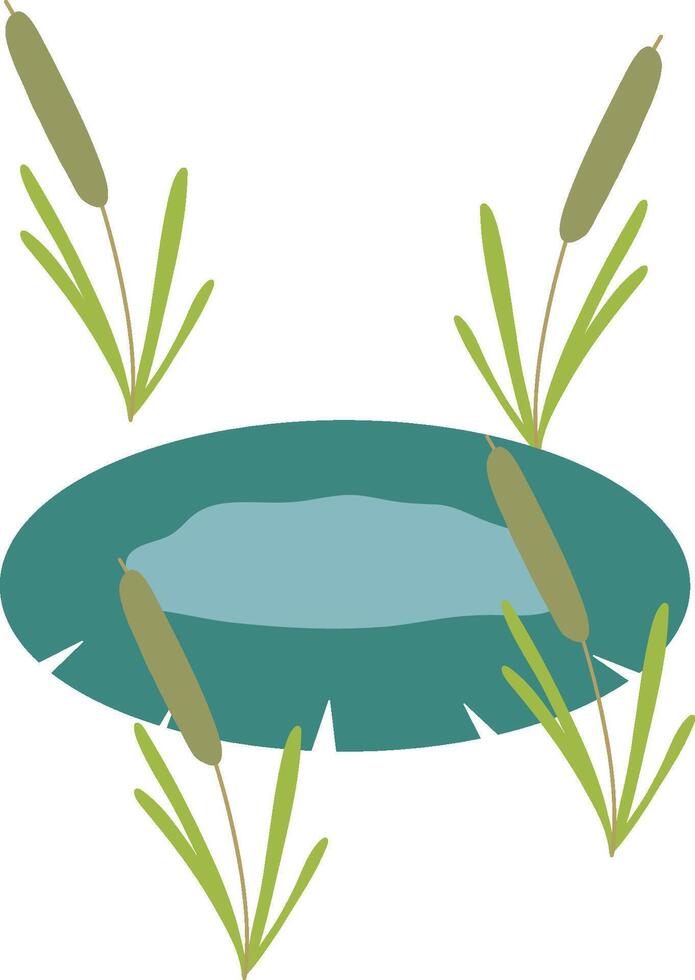 Water Lily pad and reeds isolated design illustration vector