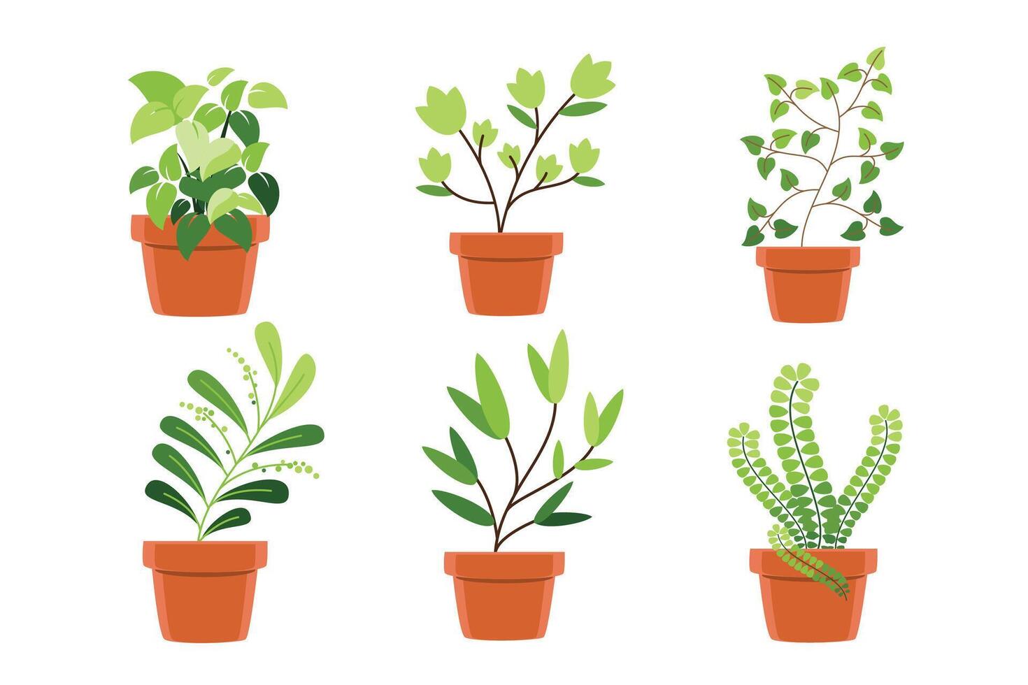 Indoor Houseplants in Clay Pots vector