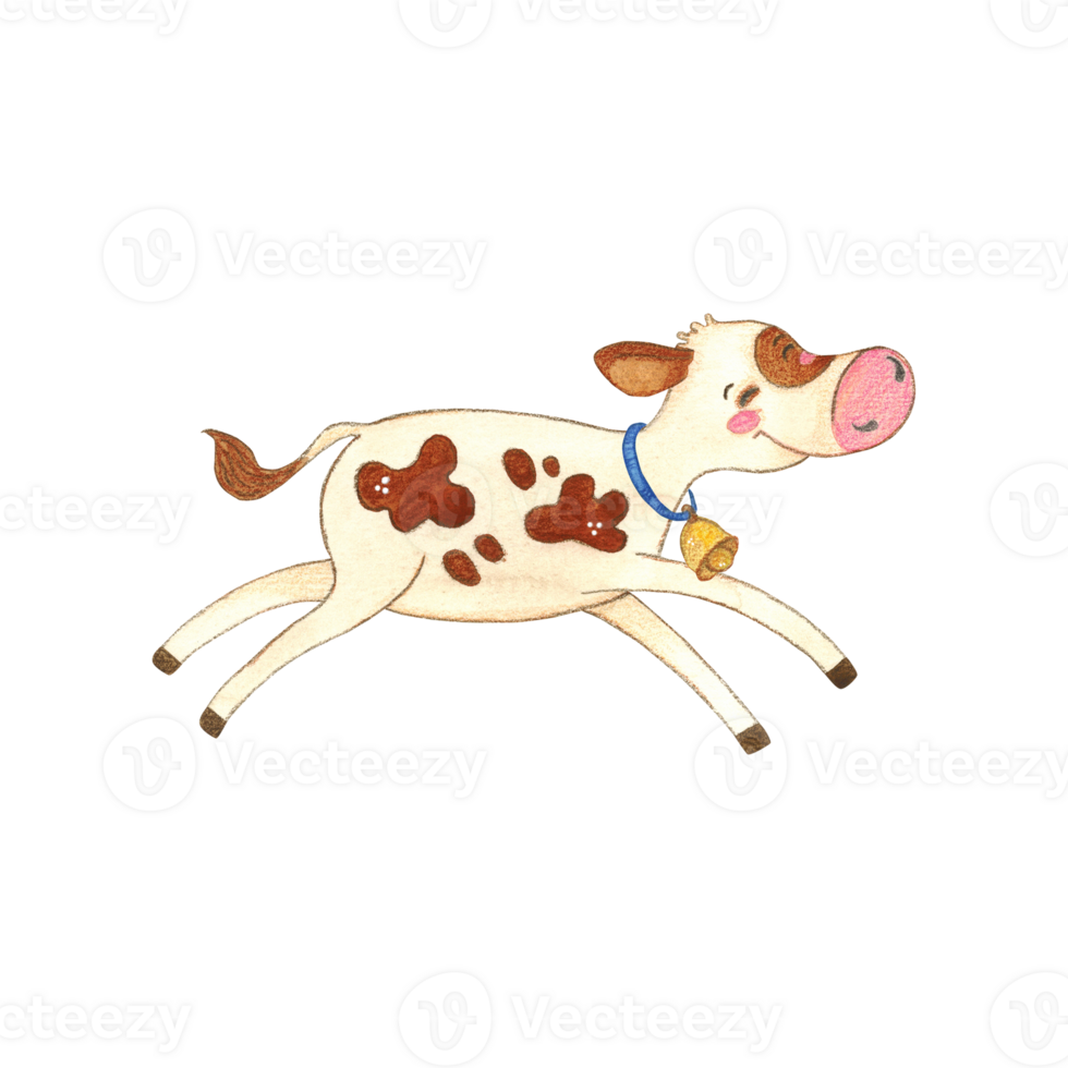 Joyfully jumping white calf with red spots with blue ribbon and golden bell. Watercolor illustration, hand drawn, cartoon. Sticker design, print, children's book. cow, character, jumping, spots, joy png