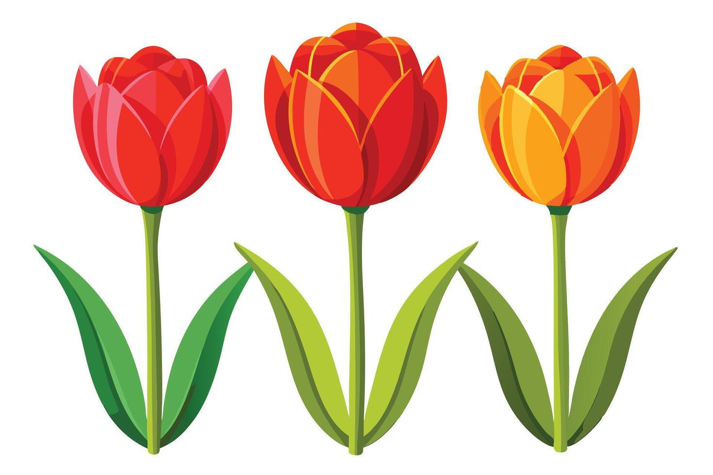 Vibrant Trio of Spring Tulips Blooming in a Cheerful Garden Setting, White Background - Professional digital artwork with vibrant colors and detailed composition vector