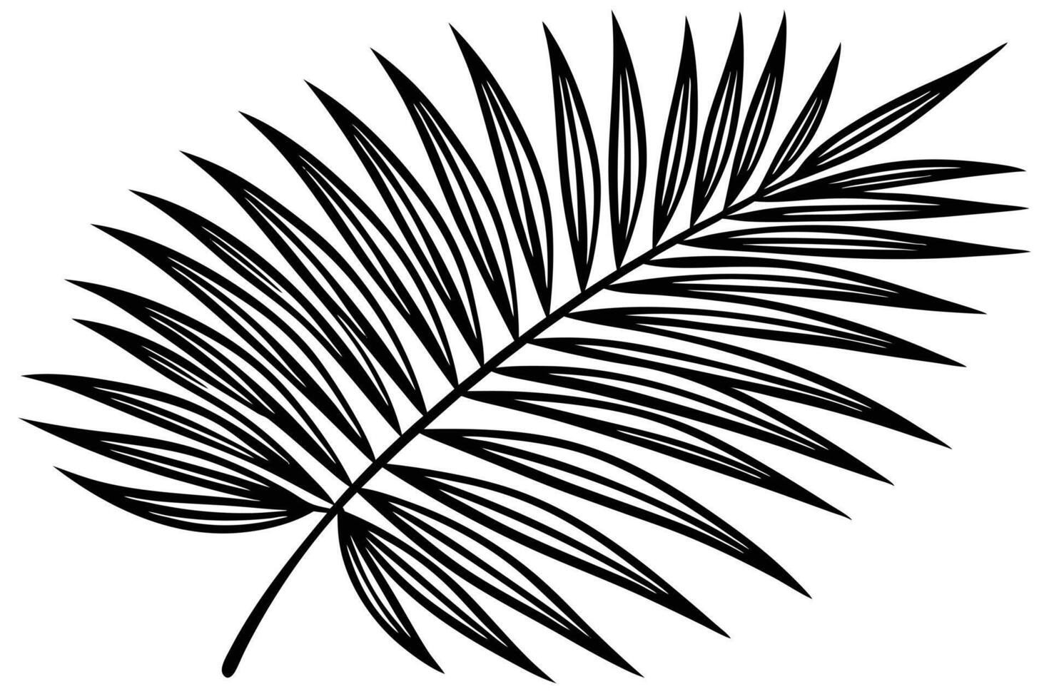 Serene Black and White Palm Frond Illustration Elegant Tropical Leaf Design for Summer Mood Boards vector