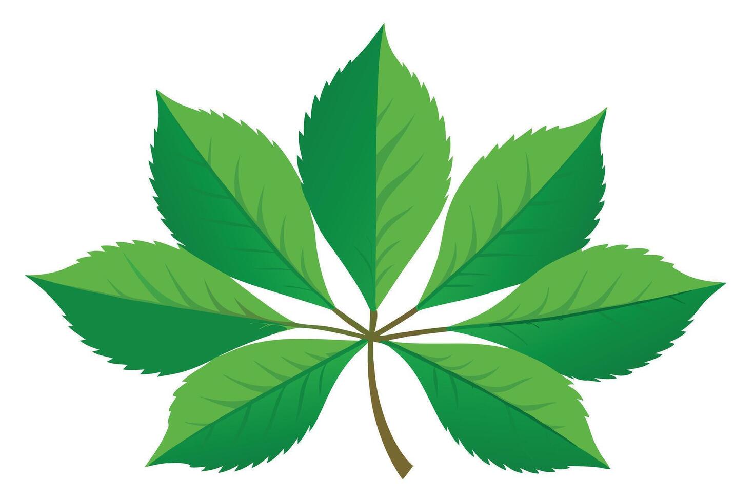 Vibrant Green Horse Chestnut Leaf Isolated on White Background Serene Nature Illustration - Professional digital artwork with vibrant colors and detailed composition vector