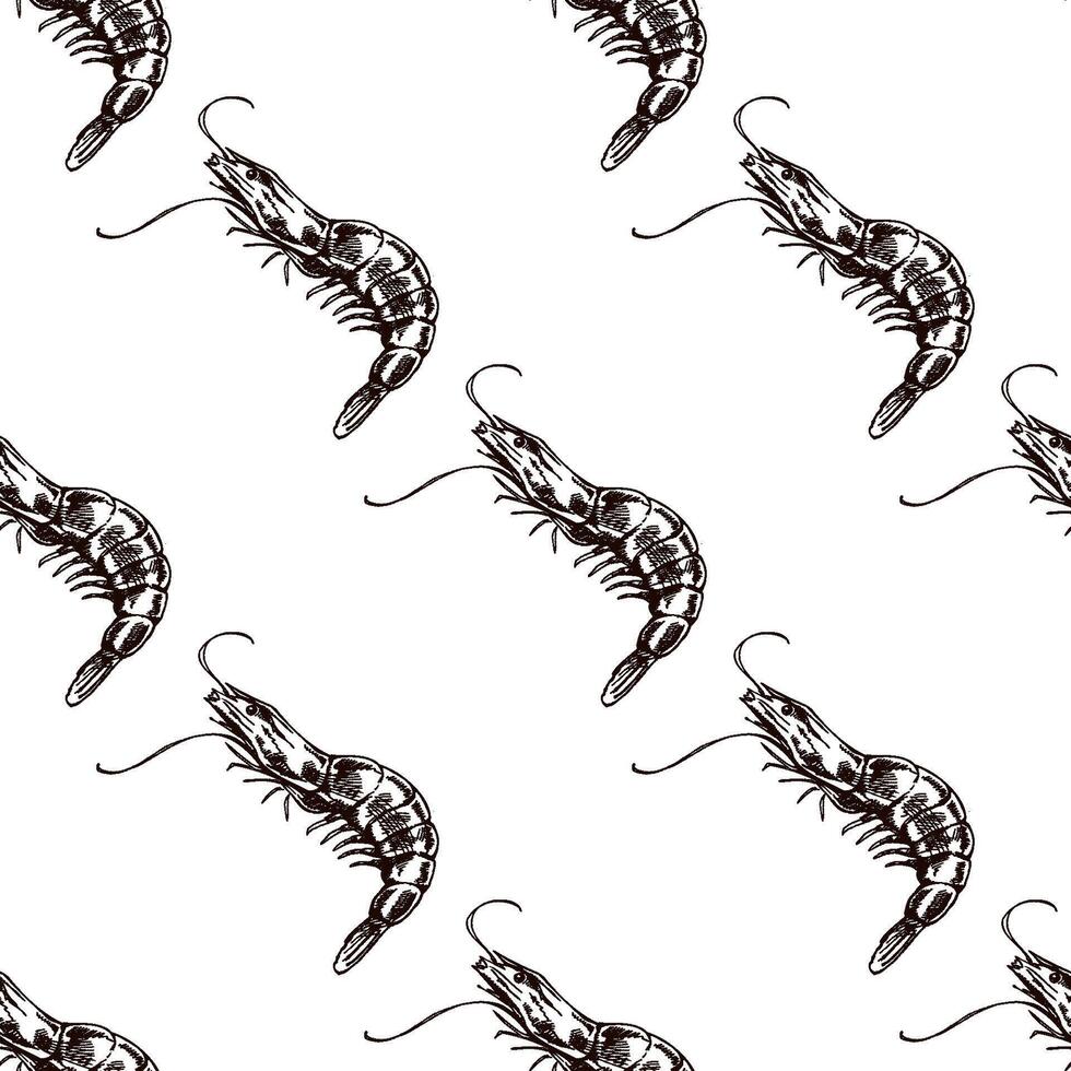Hand-drawn vintage seamless pattern of shrimp in brown ink engraving style, detailed seafood marine sketch illustration vector
