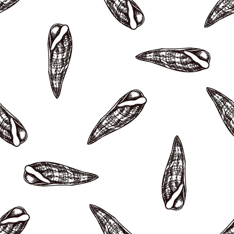 Hand drawn vintage seamless pattern of long spiral seashell in brown ink engraving style, coastal sketch illustration vector