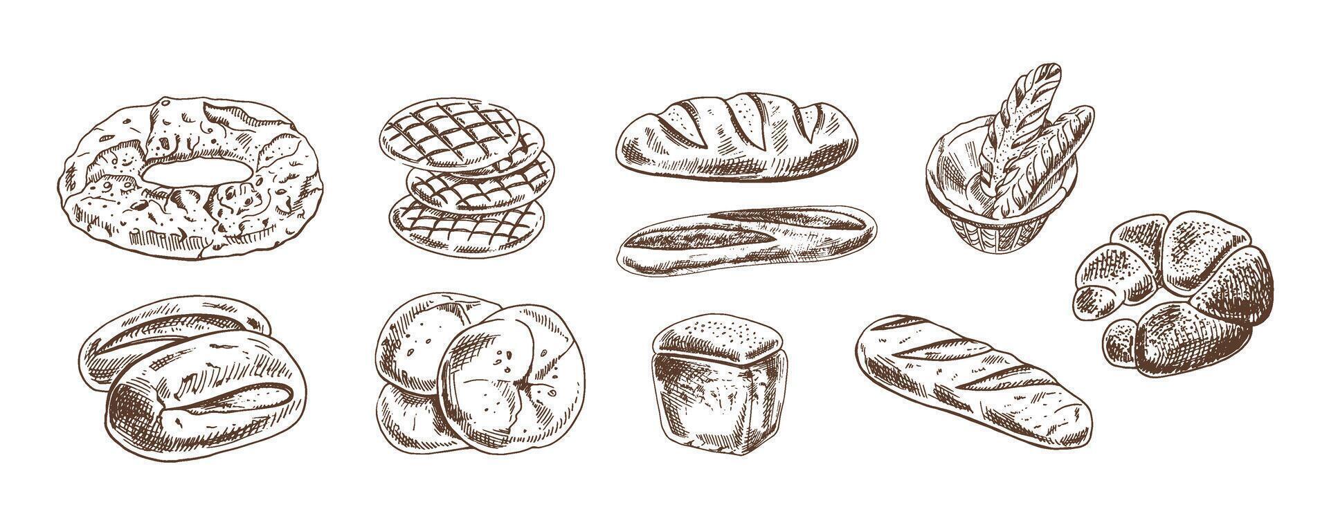 Hand drawn vintage sketch of assorted bakery bread collection in monochrome version, brown ink engraving style vector