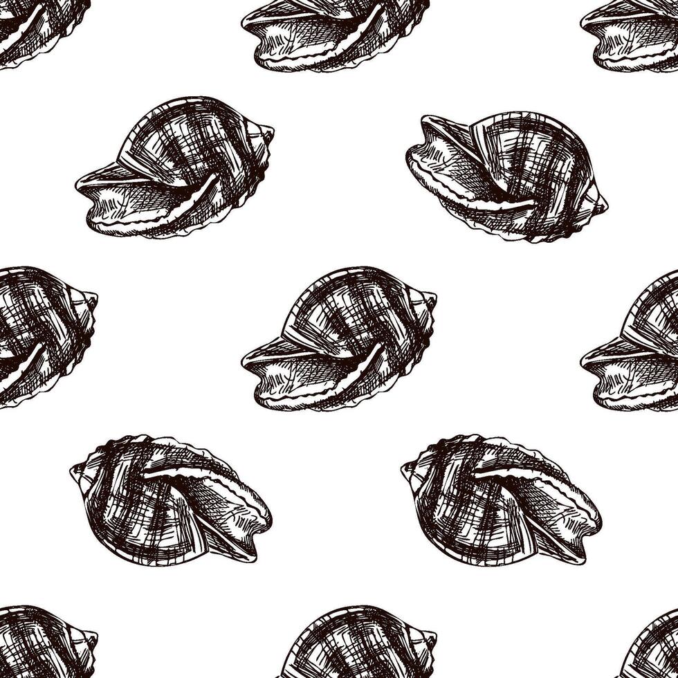 Hand drawn vintage seamless pattern of rounded open seashell in brown ink engraving style, beach sketch illustration vector