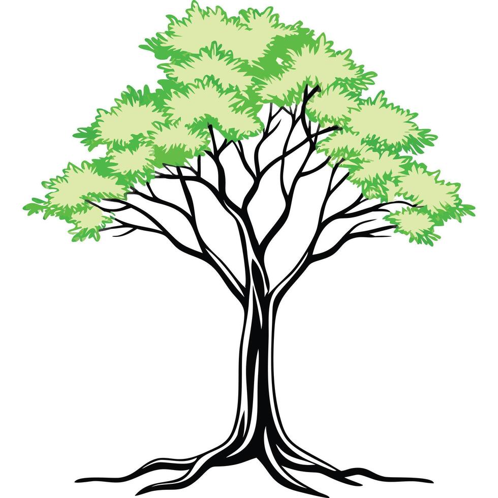 Tree clip art illustration nature plant graphic design vector