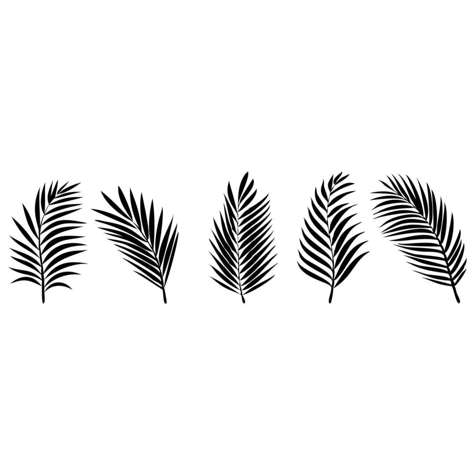 Palm leaves silhouette set isolated on white background vector