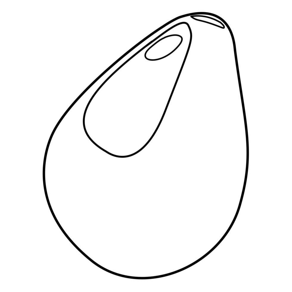 Isolated Avocado flat illustration. outline whole fruit or vegetables, half, slices, with a large seed vector