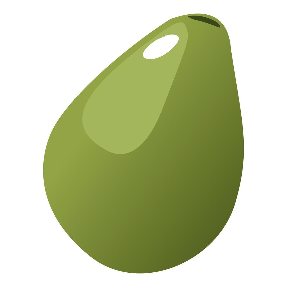 Isolated Avocado flat illustration. Green whole fruit or vegetables, half, slices, with a large seed. Food for a healthy diet vector