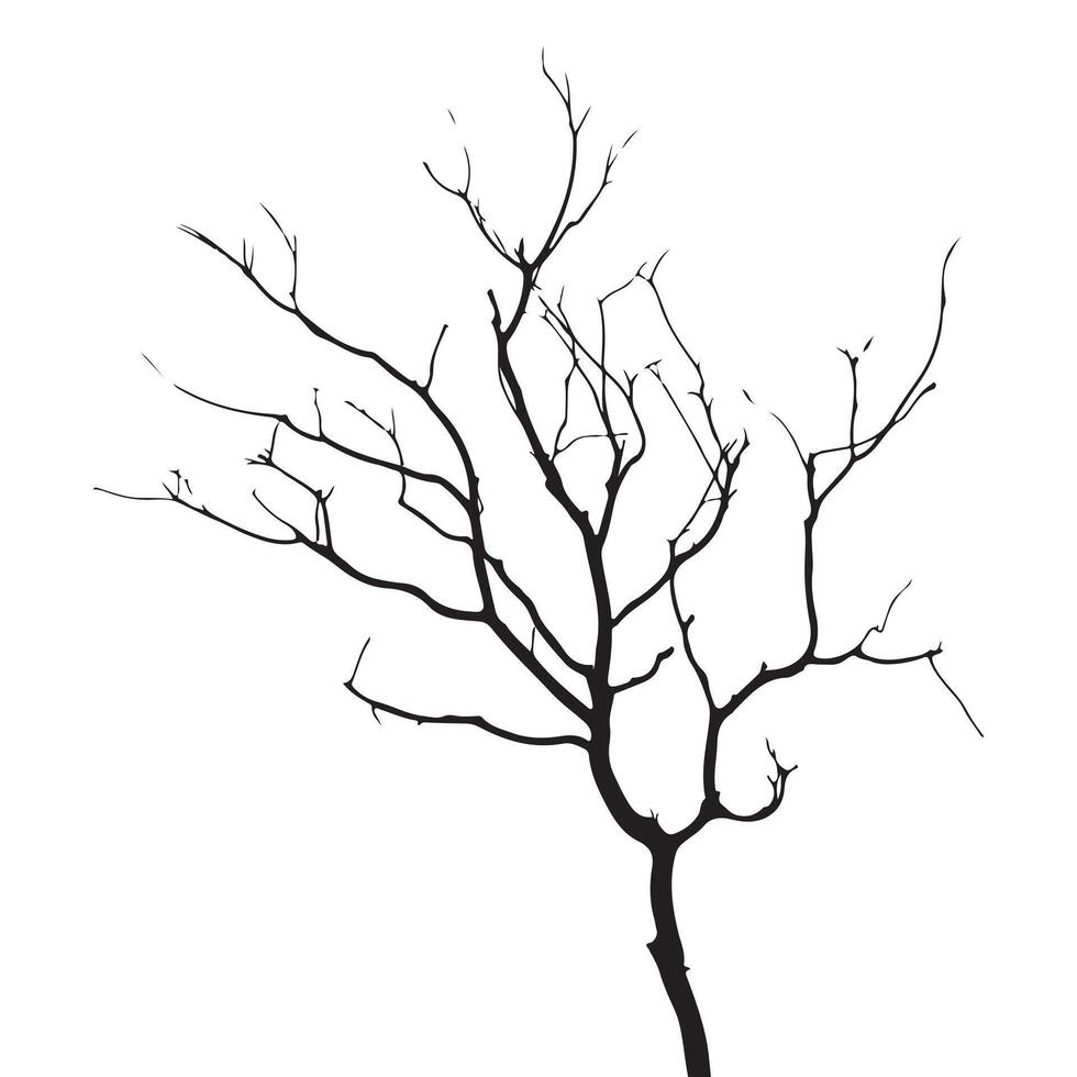 Black silhouette of a bare tree branch isolated on a white background for design vector