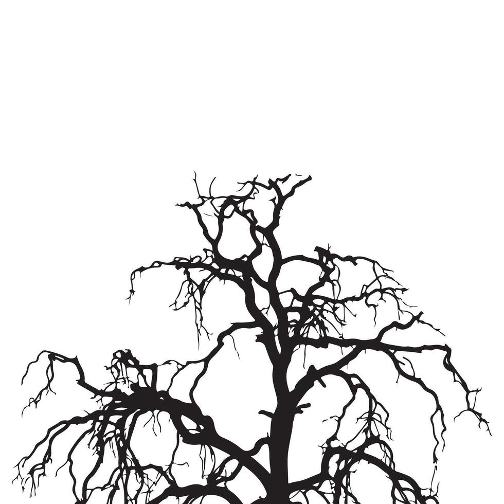 Silhouette of a leafless tree depicting stark branches against a plain white background vector