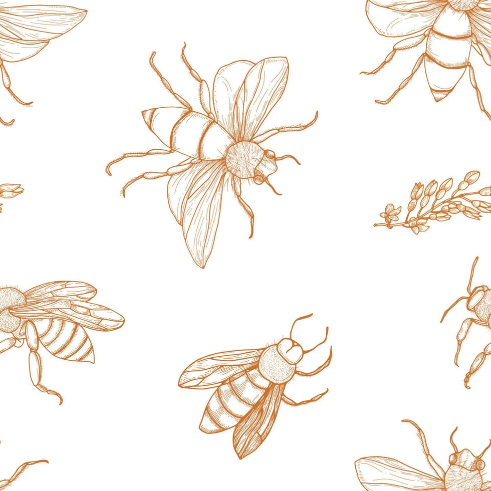 Elegant seamless pattern with honey bees hand drawn with contour lines on white background. Apiculture or beekeeping backdrop. Monochrome illustration in antique engraving style for wallpaper. vector