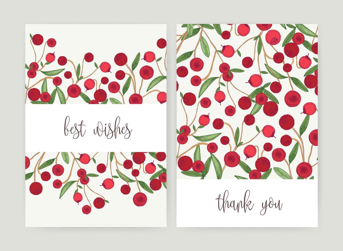Collection of postcard templates with forest cranberries and leaves on white background and holiday wish. Bundle of cards decorated by ripe delicious boreal berries. Colorful illustration. vector
