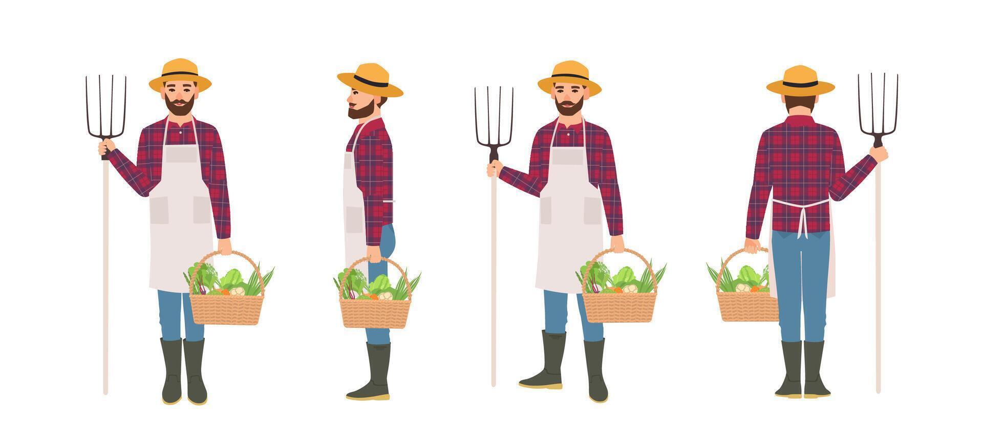 Farmer isolated on white background. Agricultural worker wearing apron and straw hat holding basket full of harvested vegetables and pitchfork. Front, back and side views. Cartoon illustration. vector